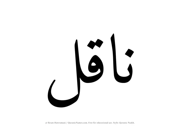 The Muslim name Naqil written in Quranic naskh script