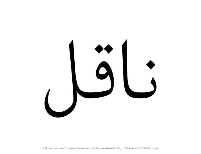 The Muslim name Naqil written in naskh script