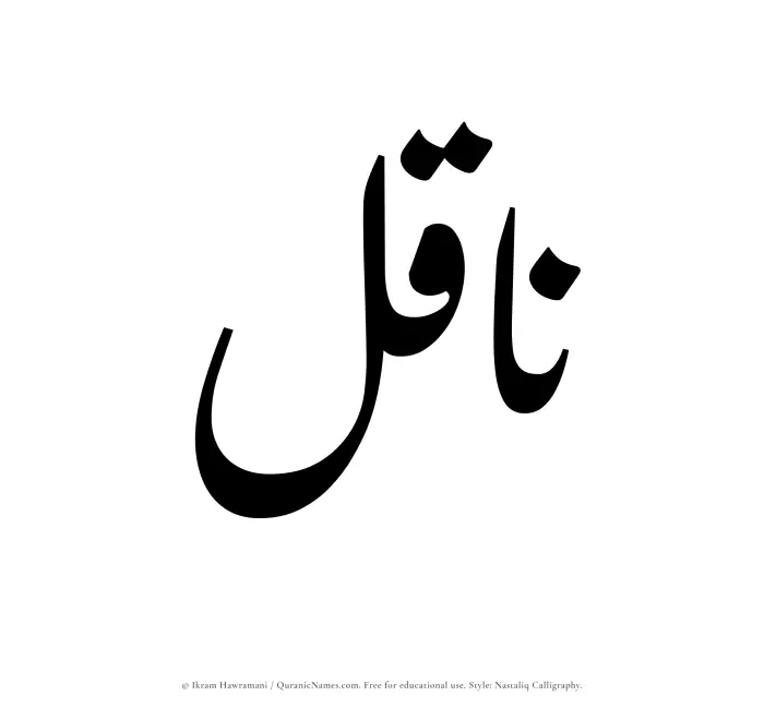 The Muslim name word Naqil written in Nastaliq calligraphic script