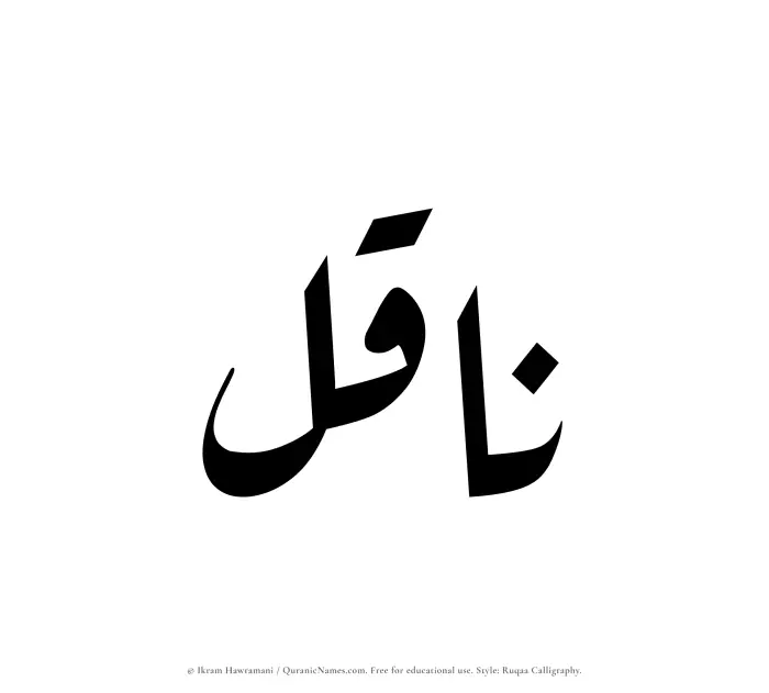 The Muslim name Naqil written in Ruqaa calligraphic script