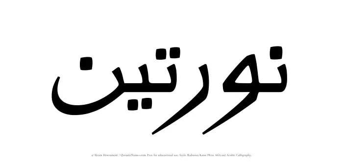 The Muslim name Naratain written in Rubutun Kano calligraphic script