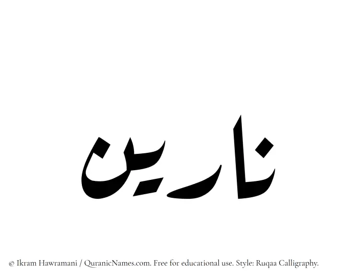 The Muslim name Nareen written in Ruqaa calligraphic script