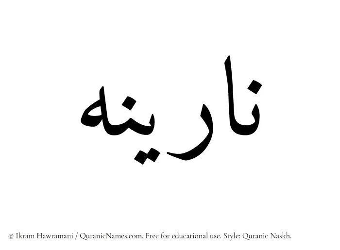 The Muslim name Narina written in Quranic naskh script