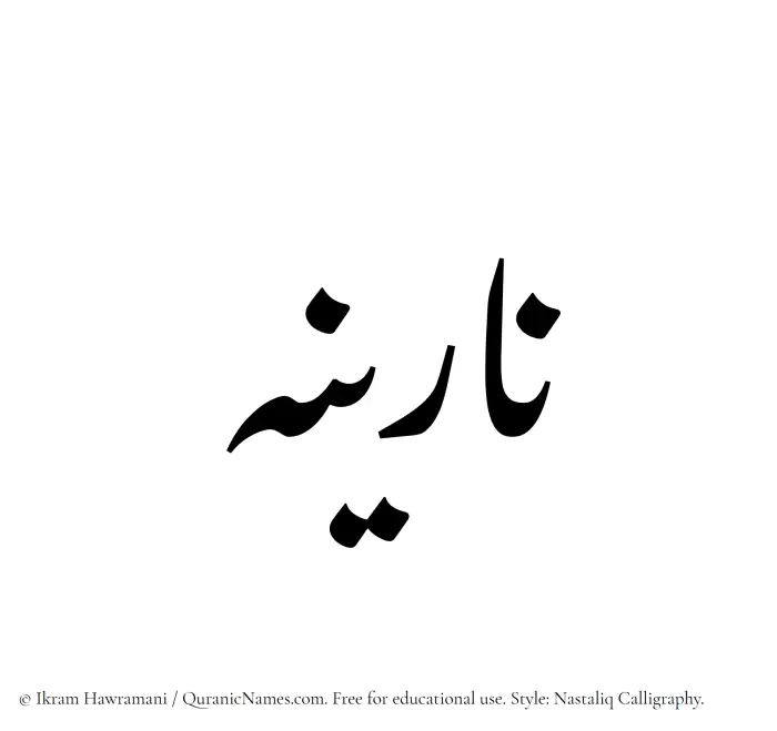 The Muslim name word Narina written in Nastaliq calligraphic script
