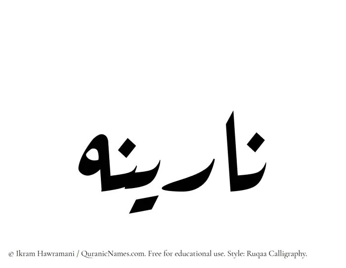 The Muslim name Narina written in Ruqaa calligraphic script
