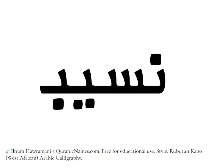 The Muslim name Naseeb written in Rubutun Kano calligraphic script
