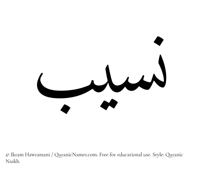 The Muslim name Naseeb written in Quranic naskh script