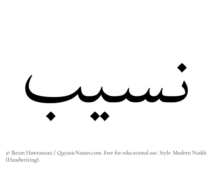 The Muslim name Naseeb written in naskh script