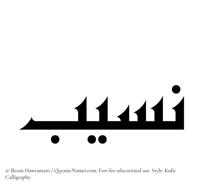 The Muslim name Naseeb written in Kufi/Kufic calligraphic script