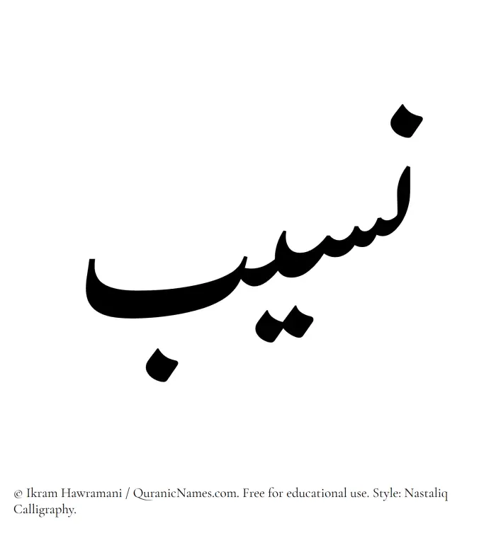The Muslim name word Naseeb written in Nastaliq calligraphic script