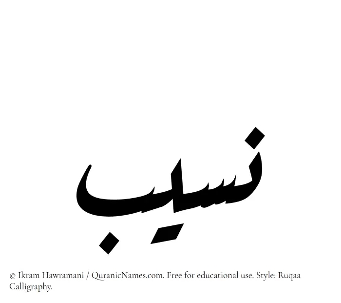 The Muslim name Naseeb written in Ruqaa calligraphic script