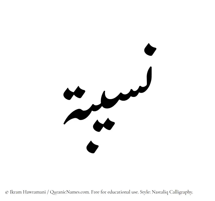 The Muslim name word Naseeba written in Nastaliq calligraphic script