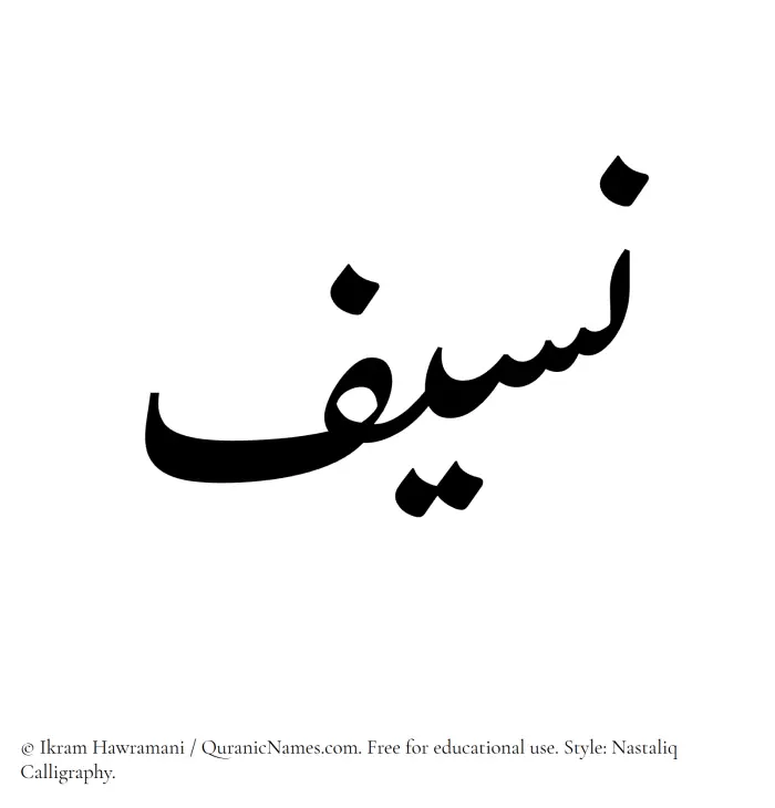 The Muslim name word Naseef written in Nastaliq calligraphic script