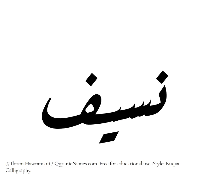 The Muslim name Naseef written in Ruqaa calligraphic script