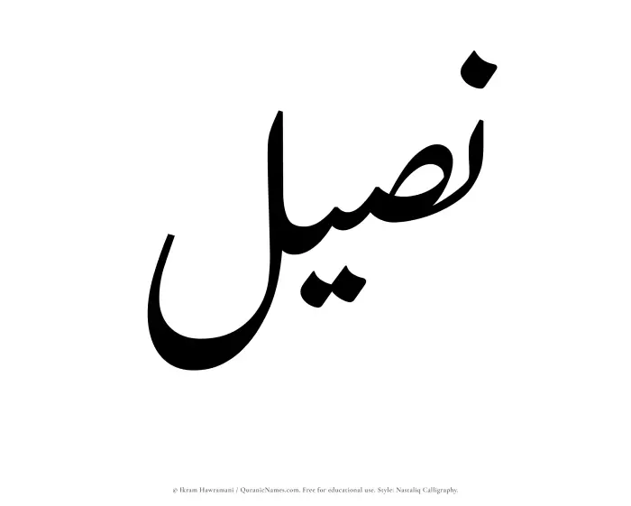 The Muslim name word Naseel written in Nastaliq calligraphic script