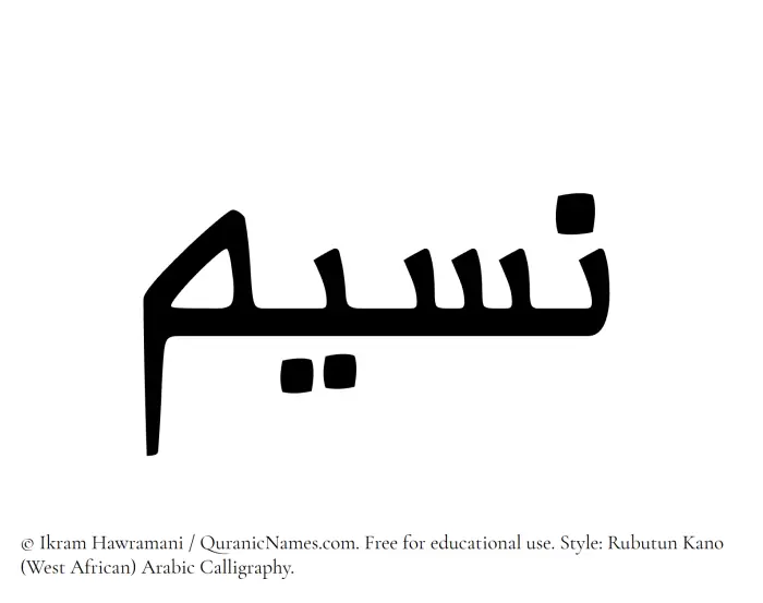The Muslim name Naseem written in Rubutun Kano calligraphic script
