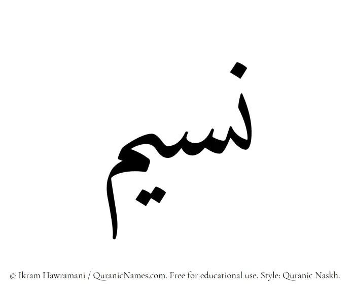 The Muslim name Naseem written in Quranic naskh script