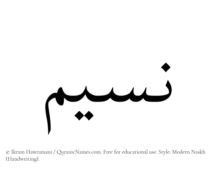 The Muslim name Naseem written in naskh script