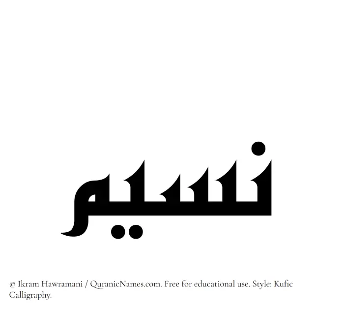 The Muslim name Naseem written in Kufi/Kufic calligraphic script