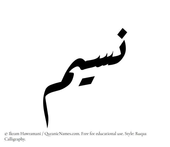 The Muslim name Naseem written in Ruqaa calligraphic script