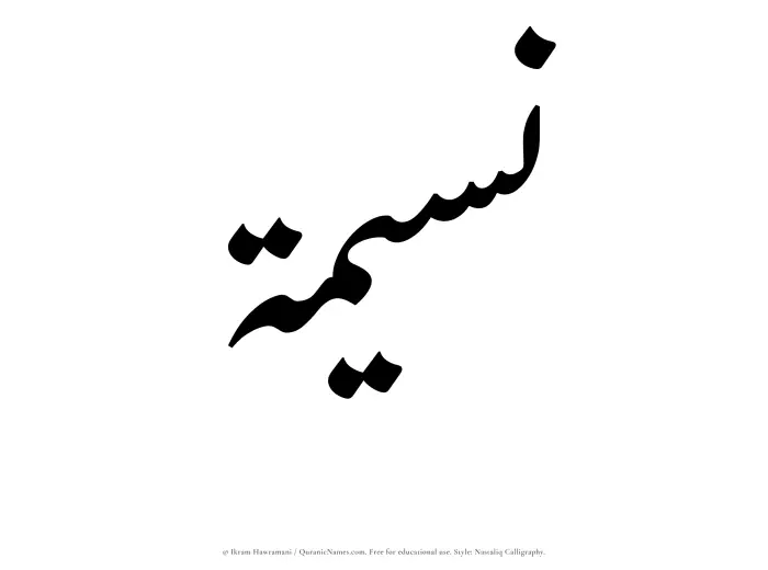 The Muslim name word Naseemah written in Nastaliq calligraphic script