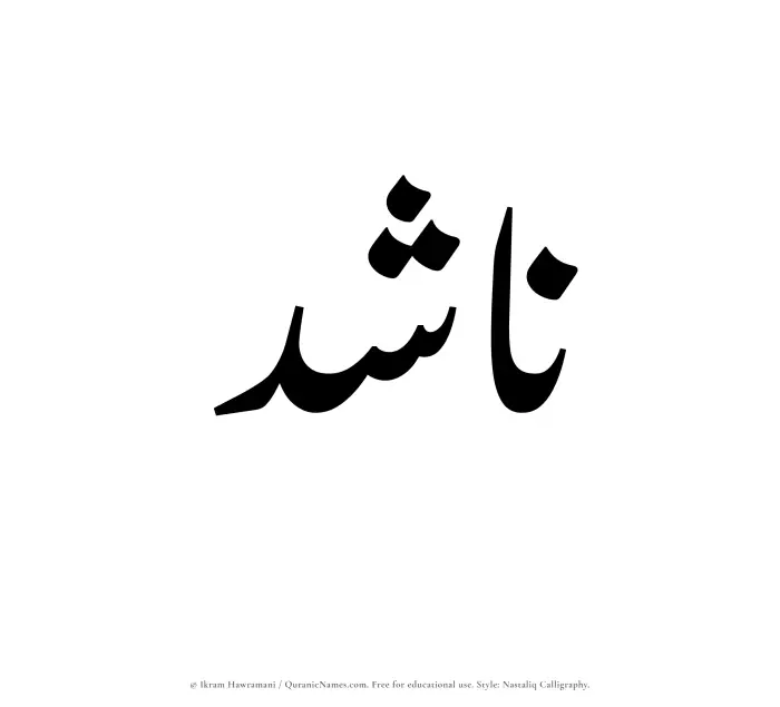 The Muslim name word Nashid written in Nastaliq calligraphic script