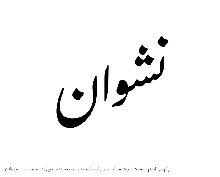 The Muslim name word Nashwan written in Nastaliq calligraphic script