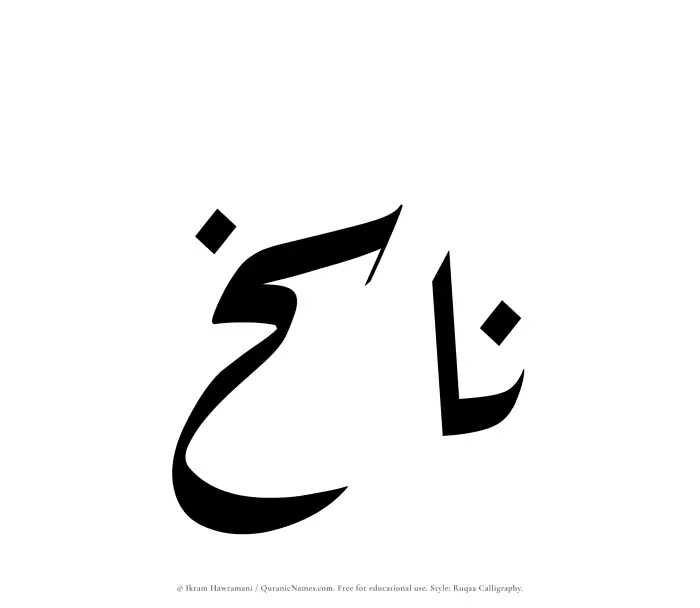 The Muslim name Nasikh written in Ruqaa calligraphic script