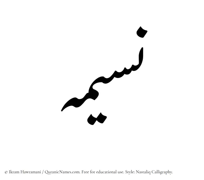 The Muslim name word Nasima written in Nastaliq calligraphic script