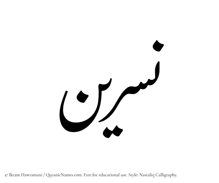 The Muslim name word Nasreen written in Nastaliq calligraphic script