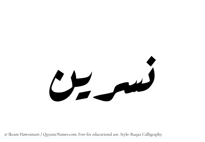The Muslim name Nasreen written in Ruqaa calligraphic script