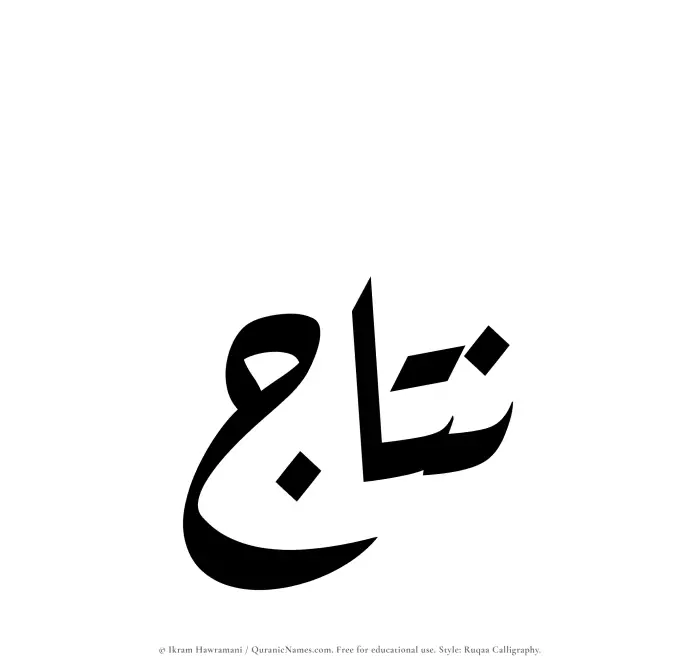 The Muslim name Nattaj written in Ruqaa calligraphic script