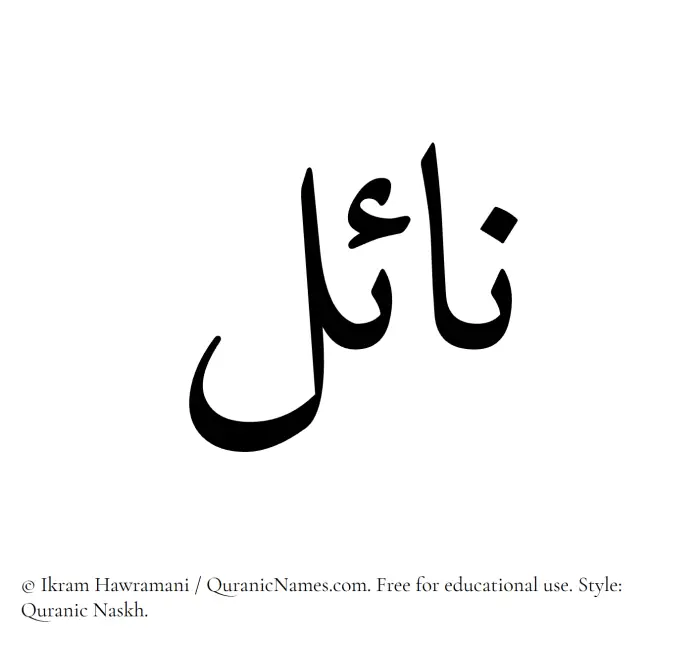 The Muslim name Nayel written in Quranic naskh script