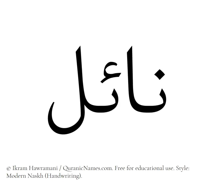 The Muslim name Nayel written in naskh script