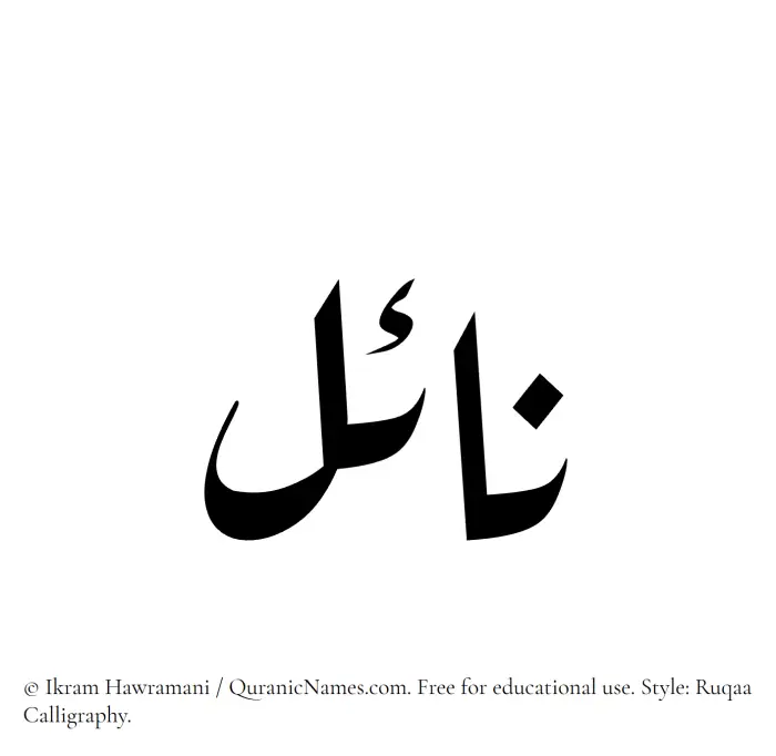 The Muslim name Nayel written in Ruqaa calligraphic script