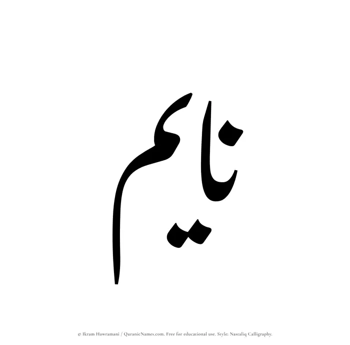 The Muslim name word Nayem written in Nastaliq calligraphic script