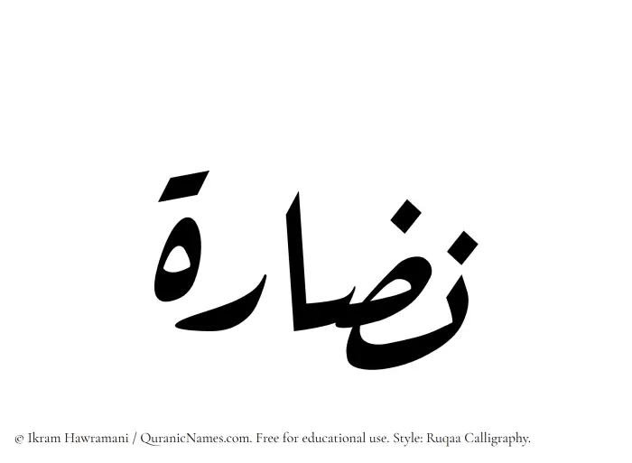 The Muslim name Nazaara written in Ruqaa calligraphic script