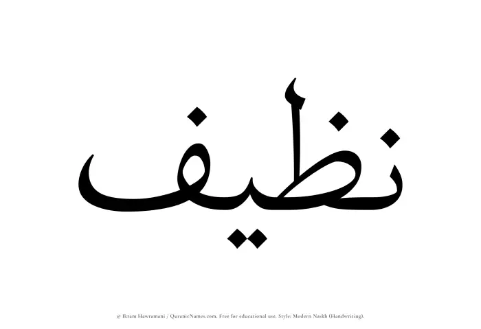 The Muslim name Nazeef written in naskh script