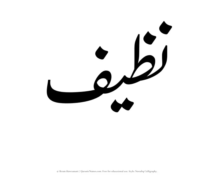 The Muslim name word Nazeef written in Nastaliq calligraphic script
