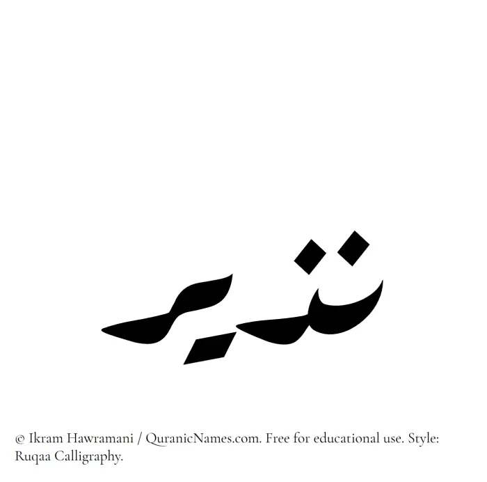 The Muslim name Nazeer written in Ruqaa calligraphic script