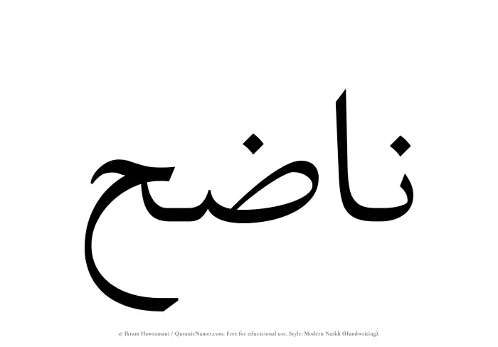 The Muslim name Nazih written in naskh script