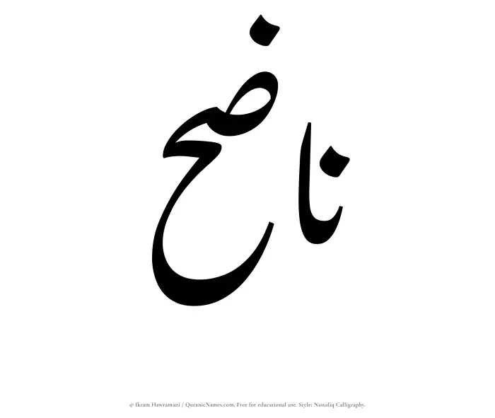 The Muslim name word Nazih written in Nastaliq calligraphic script
