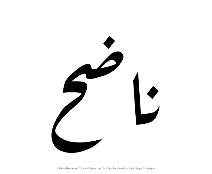 The Muslim name Nazih written in Ruqaa calligraphic script