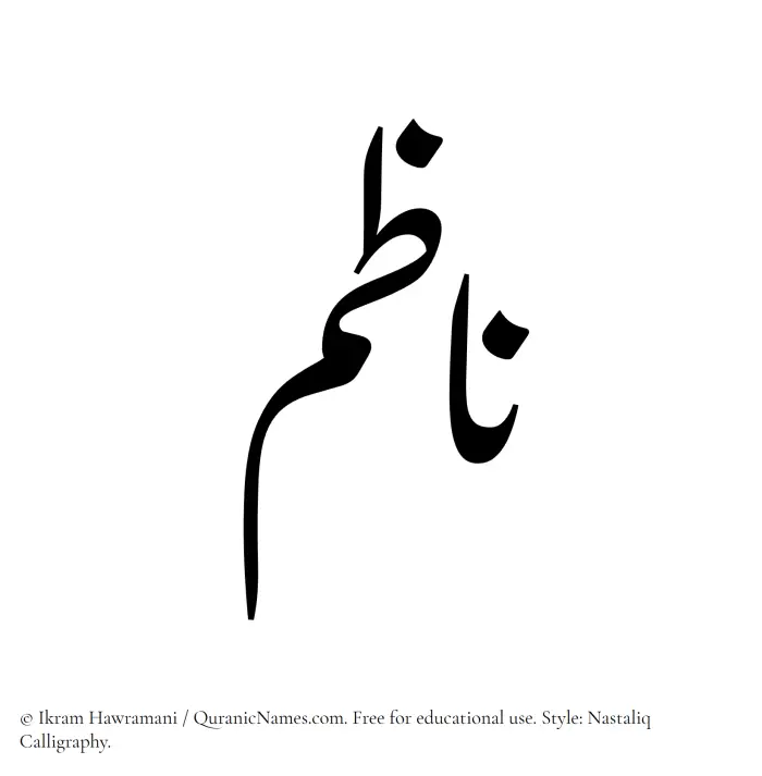 The Muslim name word Nazim written in Nastaliq calligraphic script