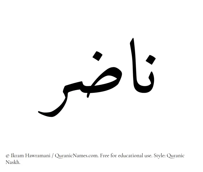 The Muslim name Nazir (Nadhir) written in Quranic naskh script