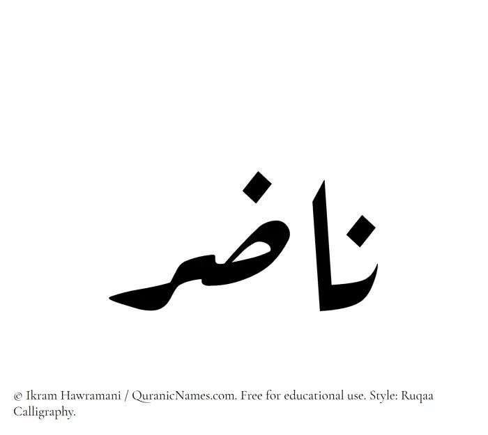 The Muslim name Nazir (Nadhir) written in Ruqaa calligraphic script