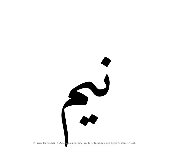 The Muslim name Neem written in Quranic naskh script