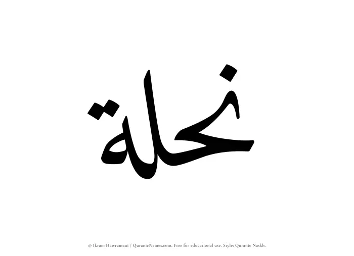 The Muslim name Nihlah written in Quranic naskh script
