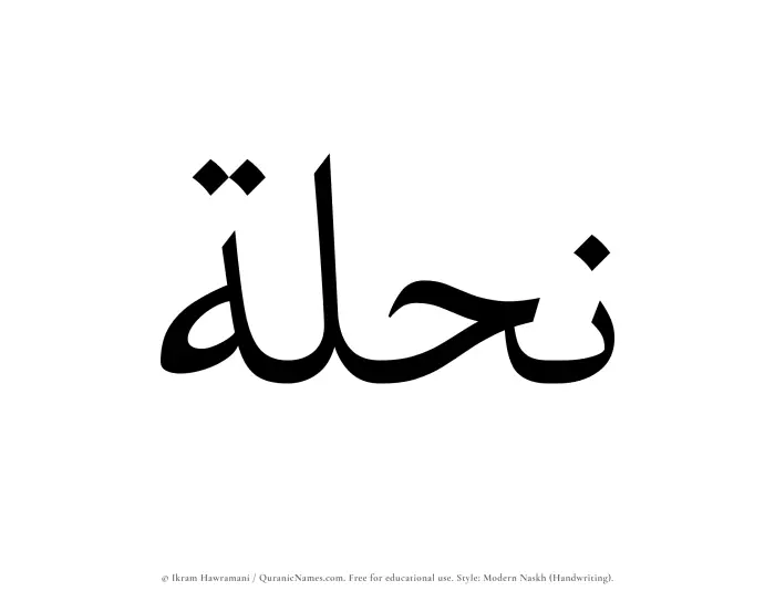 The Muslim name Nihlah written in naskh script