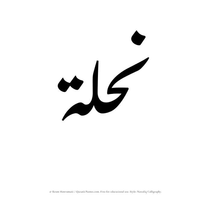 The Muslim name word Nihlah written in Nastaliq calligraphic script
